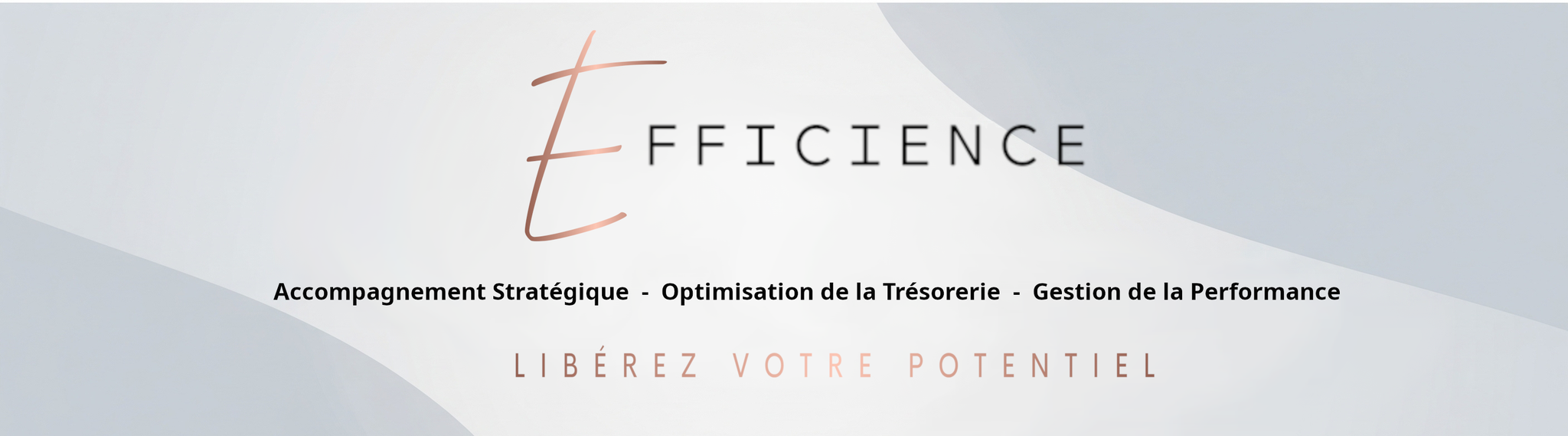 FRENCHLINK SERVICE ETAT